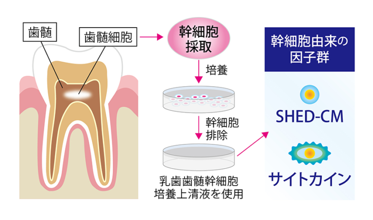 ソース画像を表示