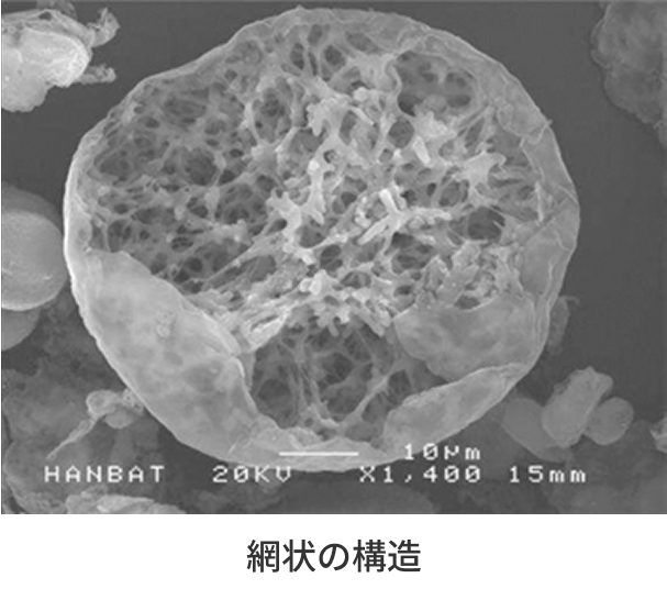 網状の構造