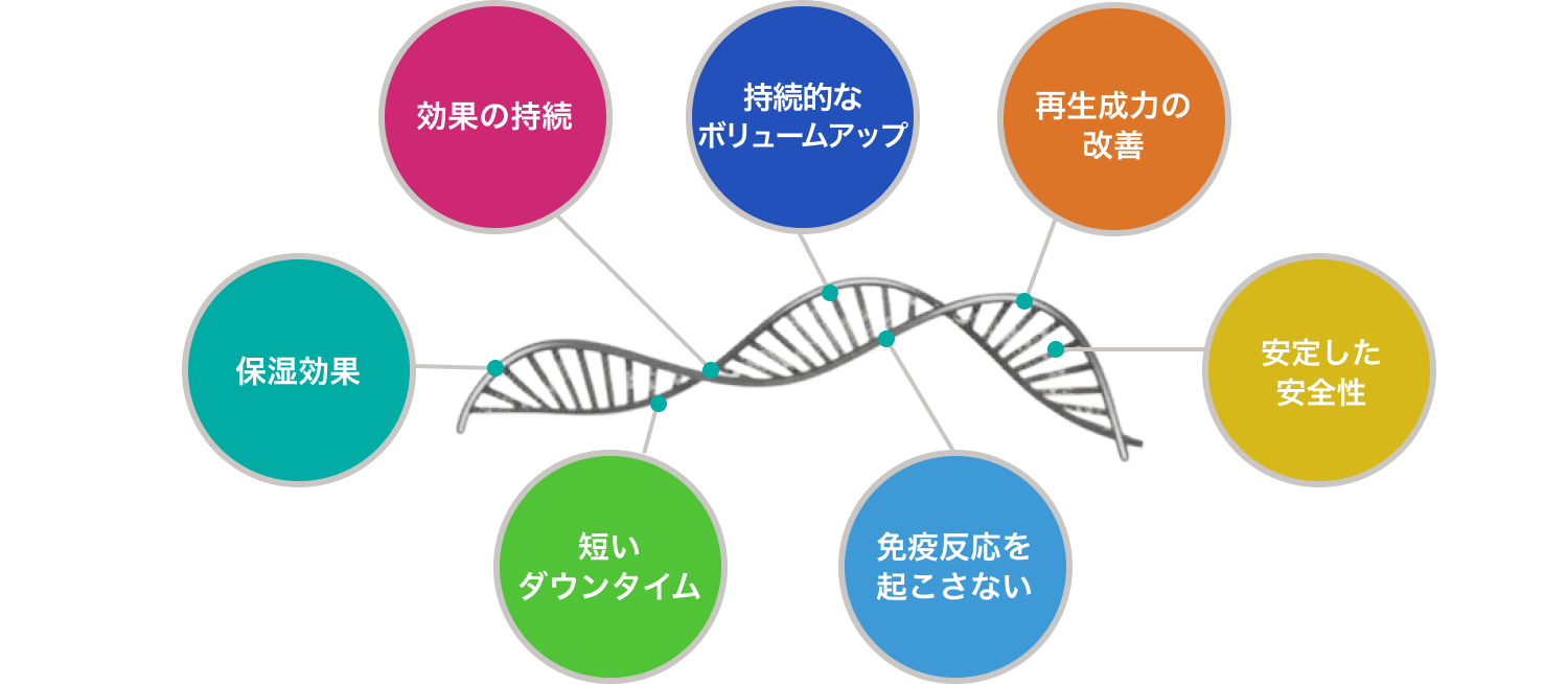 ポリヌクレオチドの作図