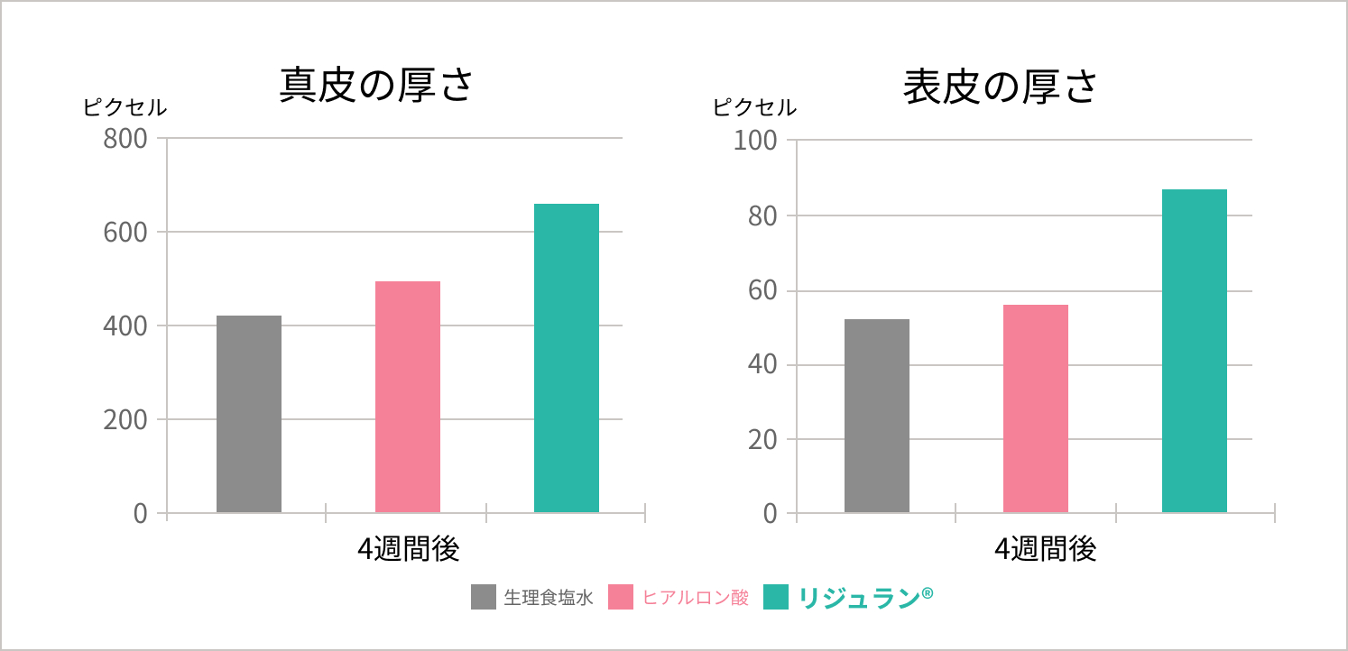 真皮・表皮の厚さ