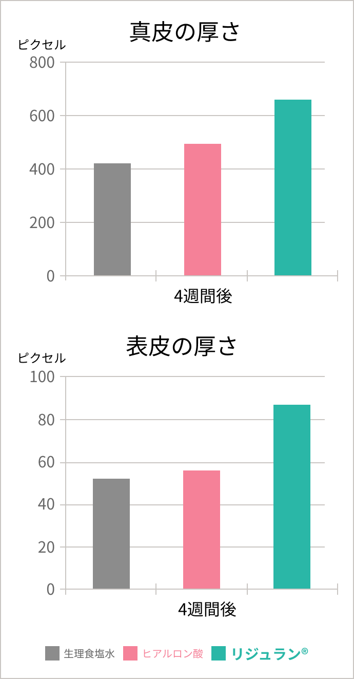 真皮・表皮の厚さ